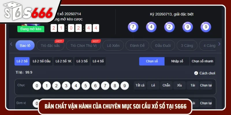 Khám phá bảng thống kê cầu số với chu kỳ xuất hiện cực chuẩn